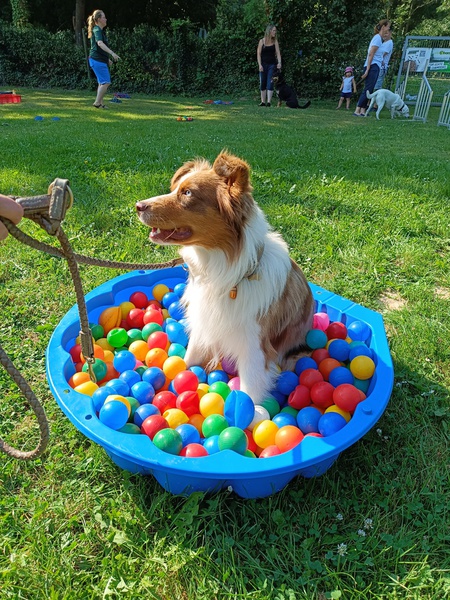 Sommerfest 2024